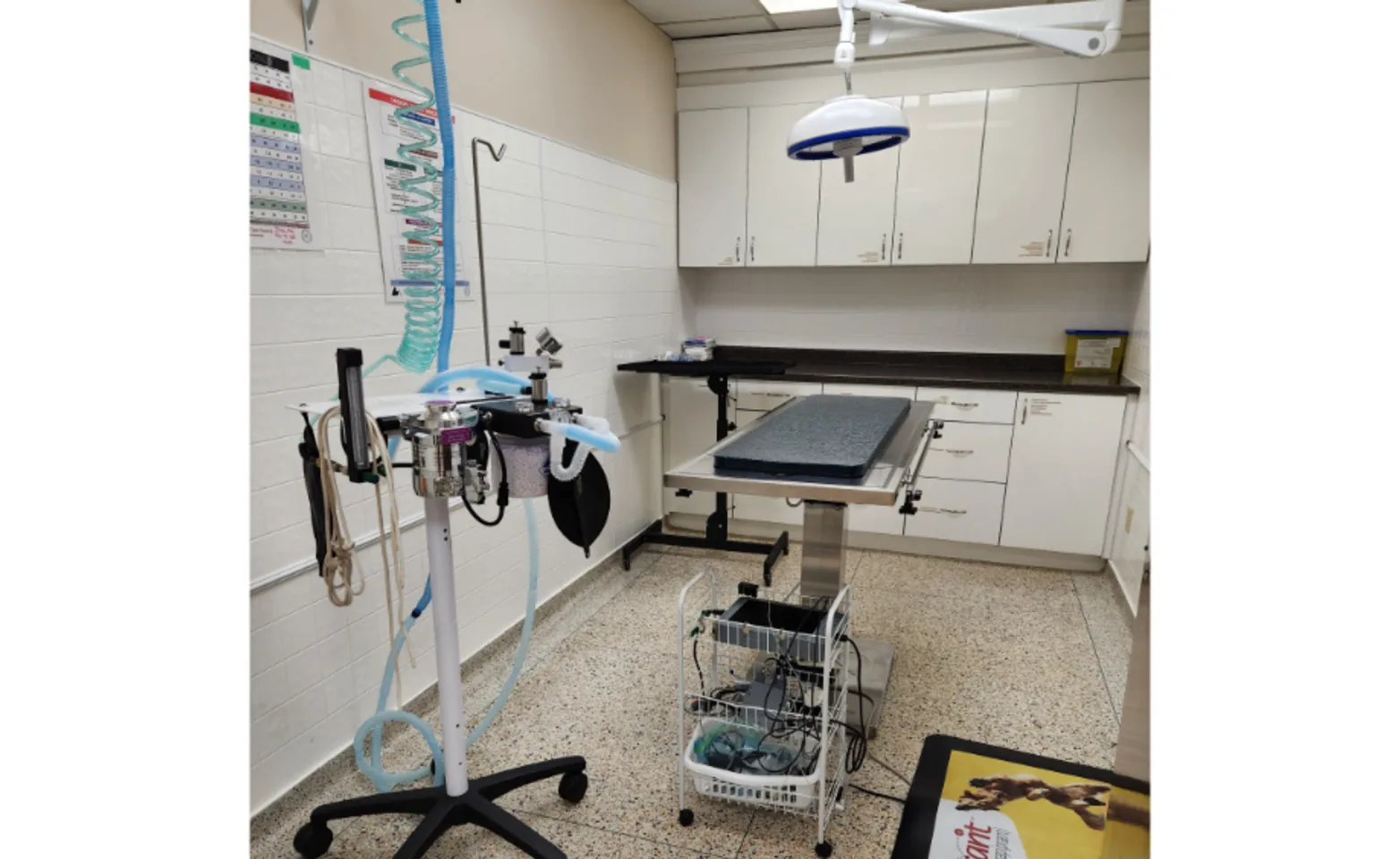 Surgery Suite at Mount Brydges Animal Clinic